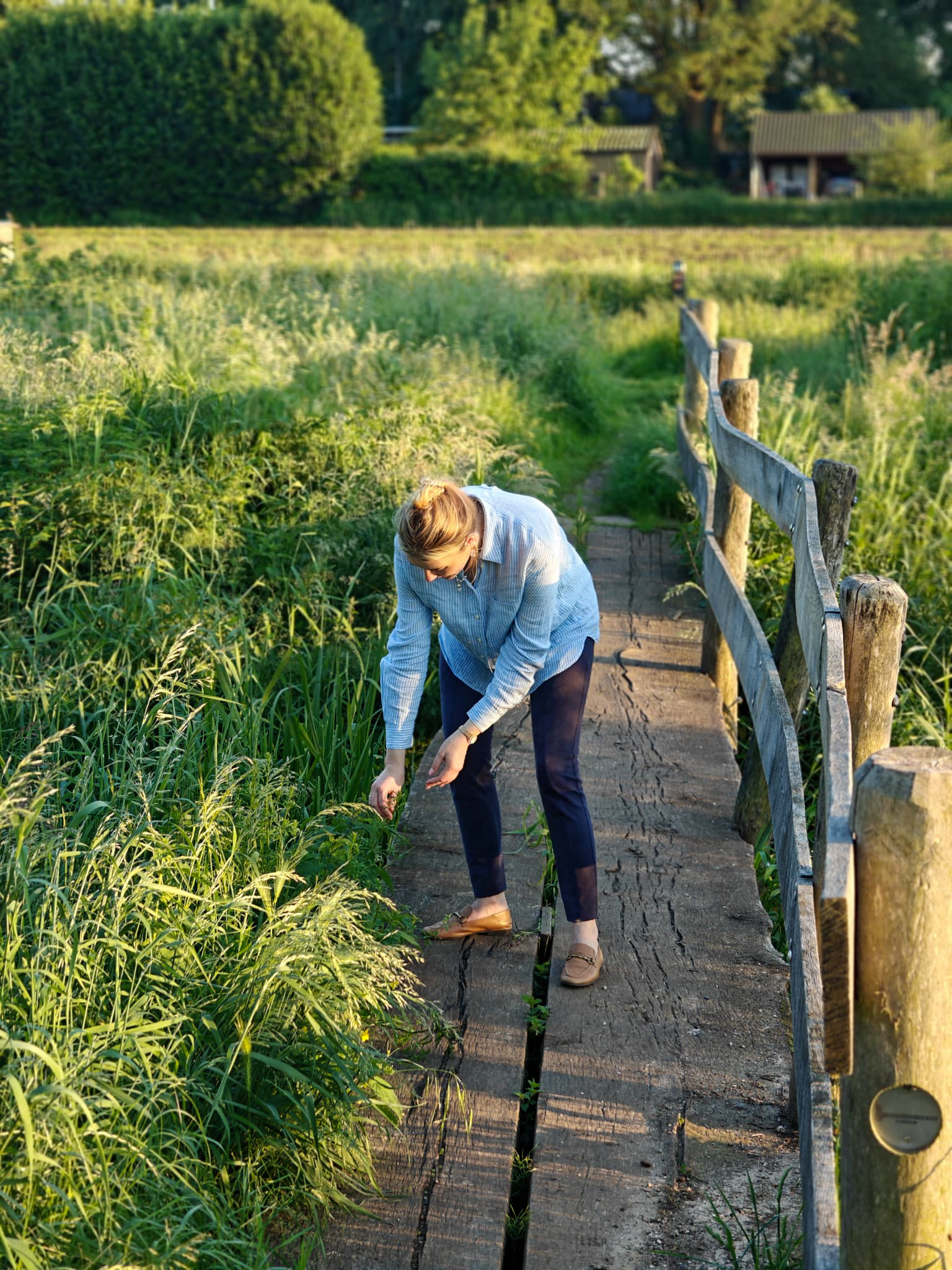 Britt plukt wilde planten, als voorbeeld van wildplukken in Nederland