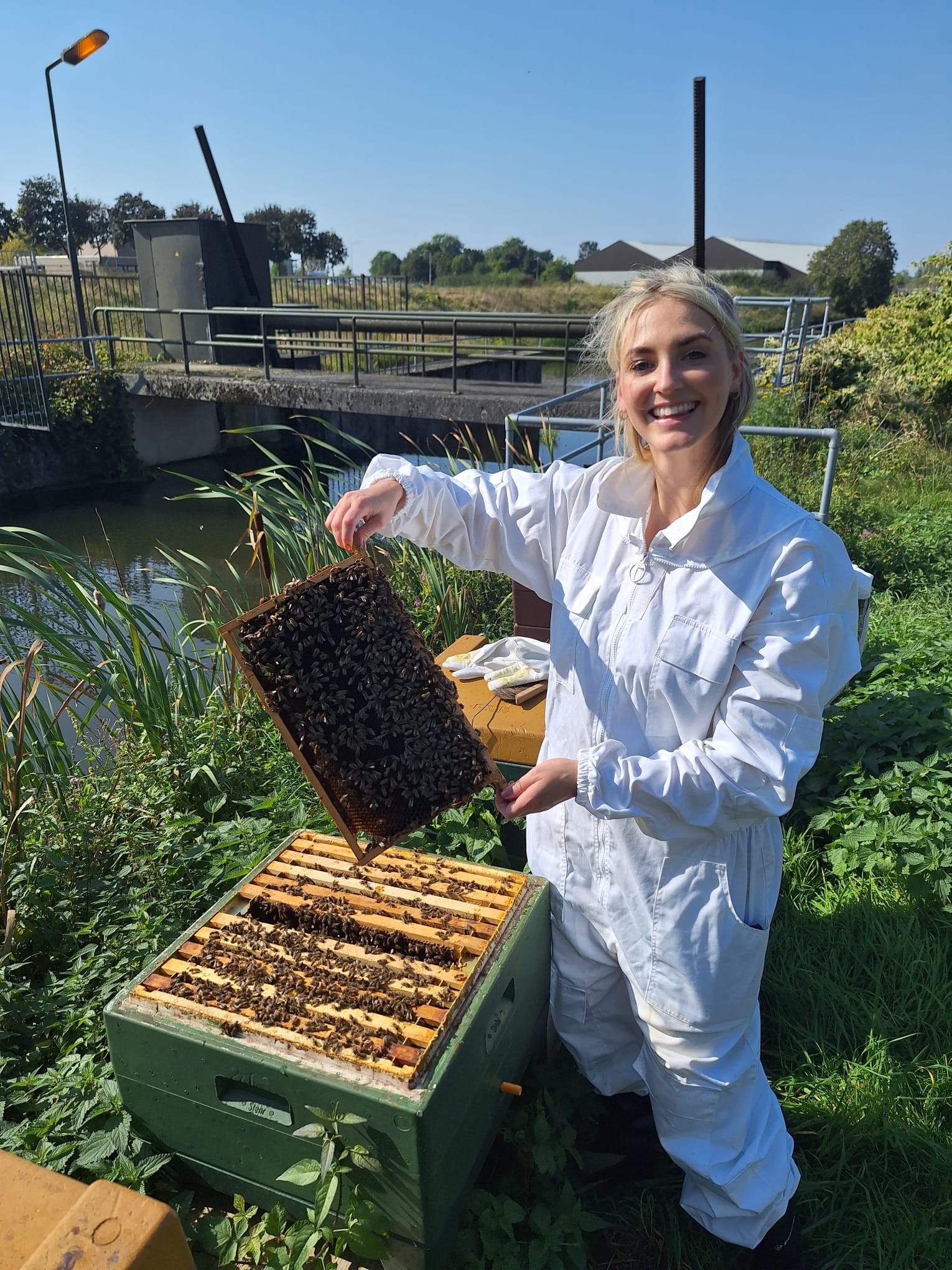 Britt houdt een honing raat omhoog met een bijenkolonie erop.