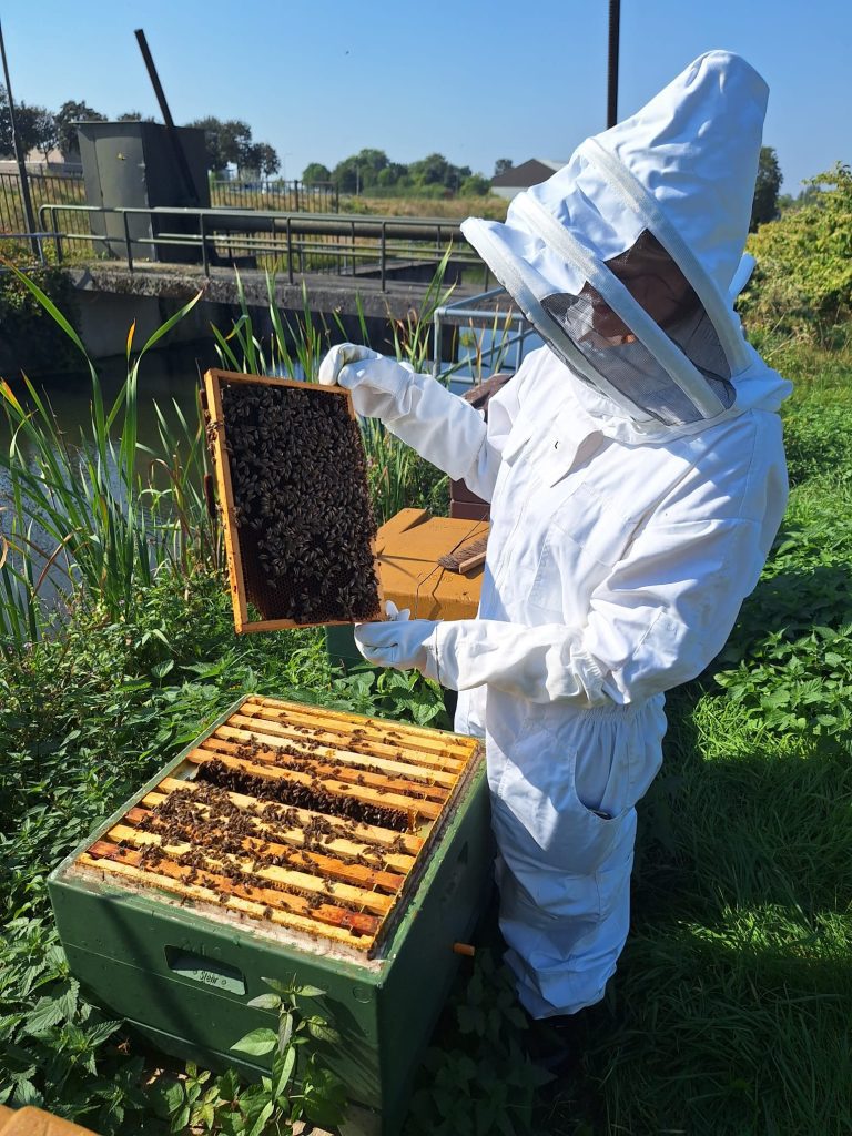 Britt in een imkerpak bij de bijen, terwijl ze een raat omhoog houdt vol honing